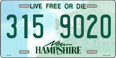 NH license plate 3159020