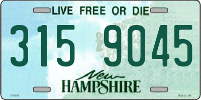 NH license plate 3159045