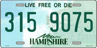 NH license plate 3159075