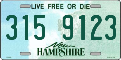 NH license plate 3159123