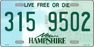 NH license plate 3159502
