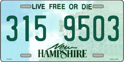 NH license plate 3159503