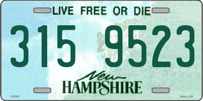 NH license plate 3159523