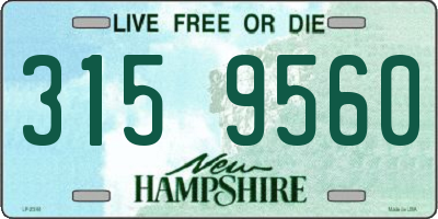 NH license plate 3159560