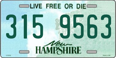 NH license plate 3159563