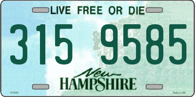 NH license plate 3159585