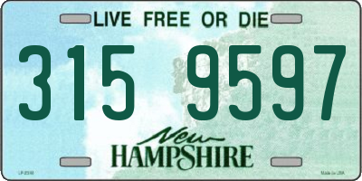 NH license plate 3159597