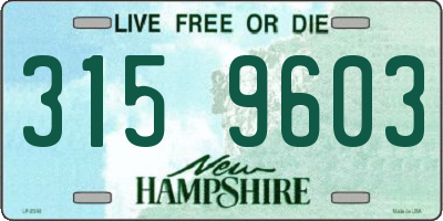 NH license plate 3159603