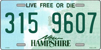 NH license plate 3159607