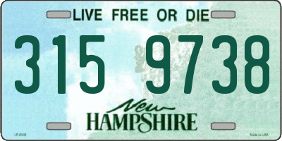 NH license plate 3159738