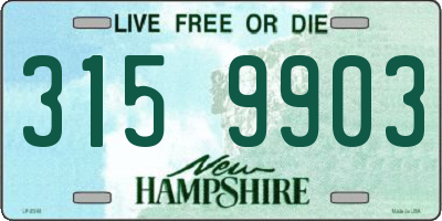NH license plate 3159903