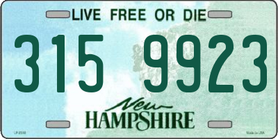 NH license plate 3159923