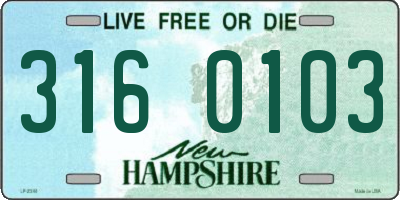 NH license plate 3160103