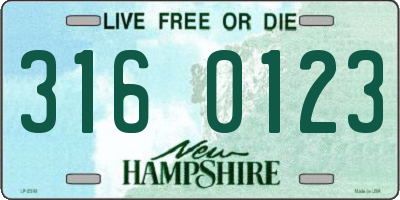 NH license plate 3160123