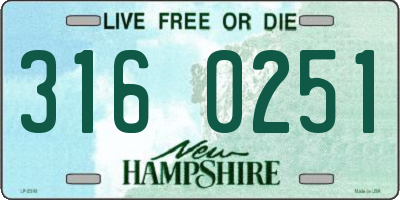 NH license plate 3160251