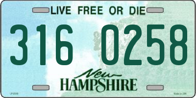 NH license plate 3160258