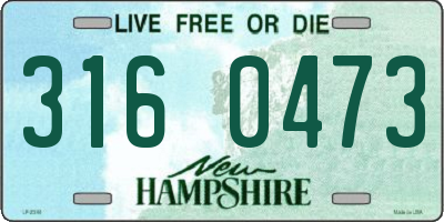 NH license plate 3160473