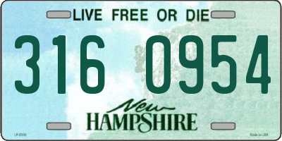 NH license plate 3160954