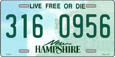 NH license plate 3160956