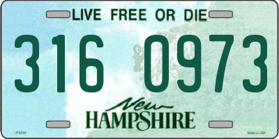 NH license plate 3160973