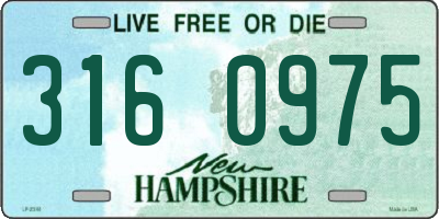 NH license plate 3160975