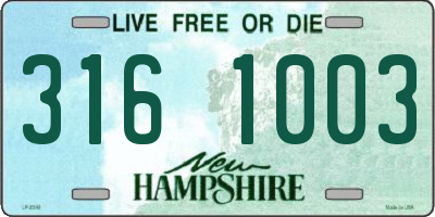 NH license plate 3161003