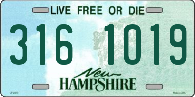 NH license plate 3161019
