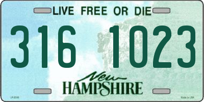 NH license plate 3161023