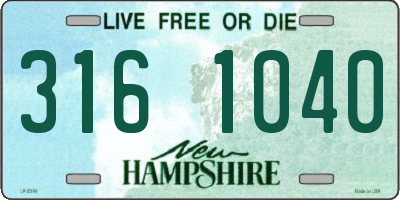 NH license plate 3161040