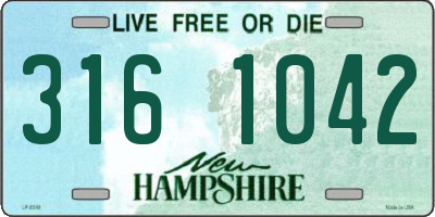 NH license plate 3161042