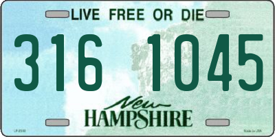 NH license plate 3161045