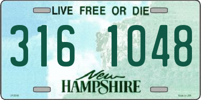 NH license plate 3161048