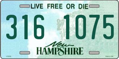 NH license plate 3161075