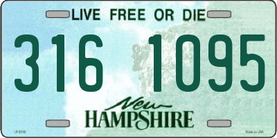NH license plate 3161095