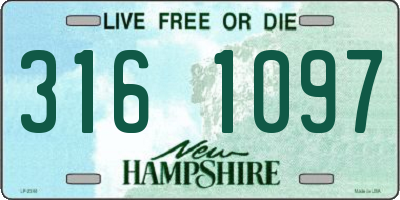 NH license plate 3161097