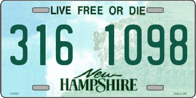 NH license plate 3161098