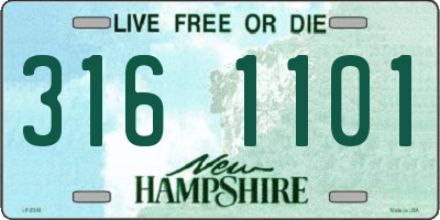 NH license plate 3161101