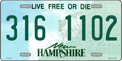 NH license plate 3161102
