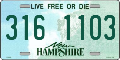 NH license plate 3161103