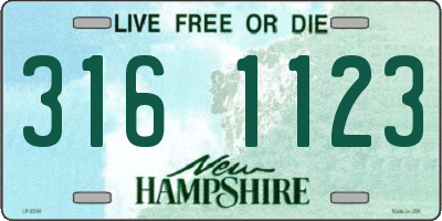 NH license plate 3161123