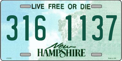 NH license plate 3161137