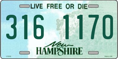 NH license plate 3161170
