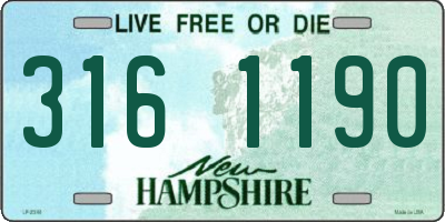 NH license plate 3161190