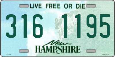 NH license plate 3161195