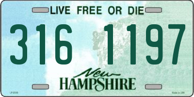 NH license plate 3161197