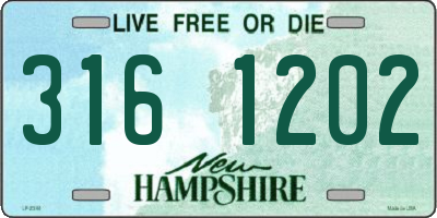 NH license plate 3161202