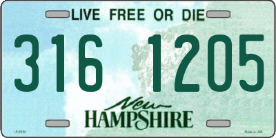 NH license plate 3161205