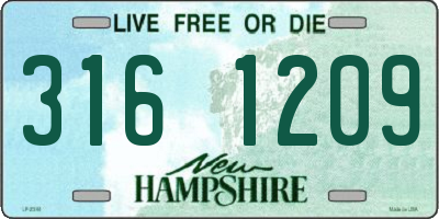 NH license plate 3161209