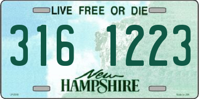 NH license plate 3161223