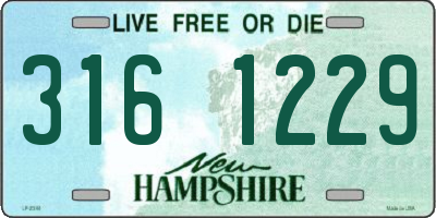 NH license plate 3161229